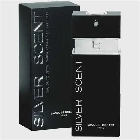 Silver Scent 100ml EDT - Masculino